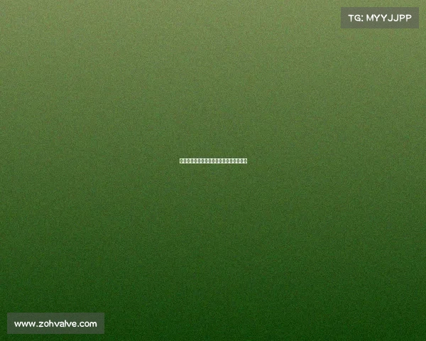 任嘉人的荣耀战场：揭秘他的电竞破局密码