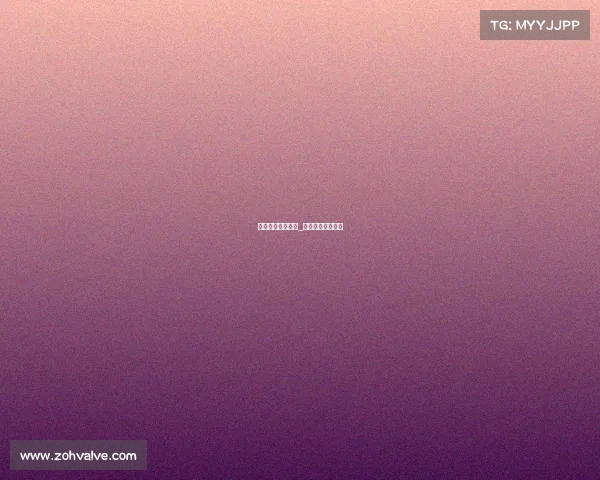 小说电子竞技斗鹰_《电子竞技》小说