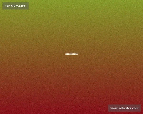 《战地代码：胜负密钥》